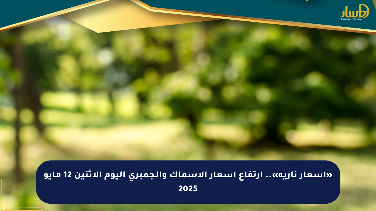«أسعار نارية».. ارتفاع أسعار الأسماك والجمبري اليوم الإثنين 12 مايو 2025